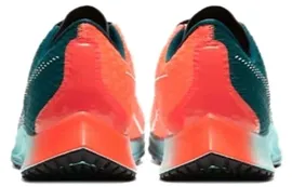 Кроссовки мужские Nike Zoom Rival Fly 2