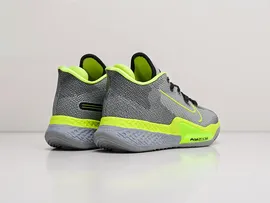 Кроссовки Nike Air Zoom BB NXT цвет Серый