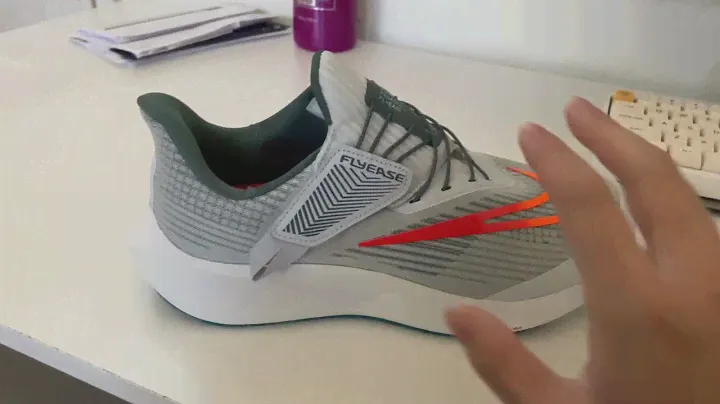 Nike Pegasus 39 Flyease Opening