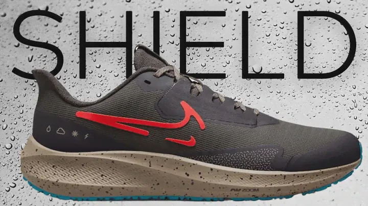 Nike Air Zoom Pegasus 39 Shield Review