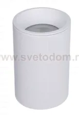 Потолочный светильник Maytoni C029CL-01-S-W Zoom