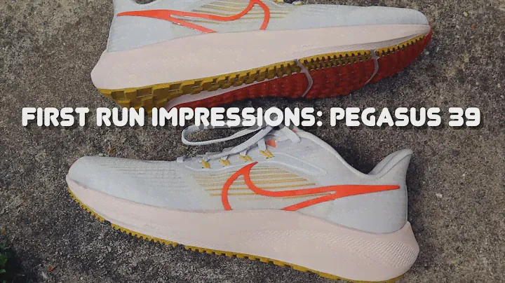 First Run Impressions: Nike Pegasus 39