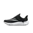 Nike Air Zoom Pegasus 39 Flyeasy