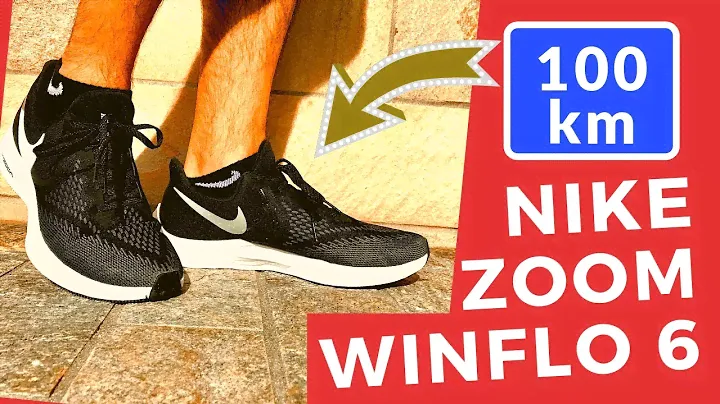 Resenha NIKE WINFLO 6 APÓS 100 KM - Testei o tênis por vários Kms e dou as minhas Impressões
