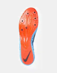 Кеды мужские Nike Zoom LJ 4-1