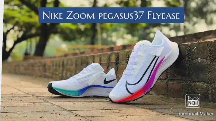 Nike Pegasus 37 FlyEase