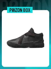Кроссовки Nike Zoom Court Dragon