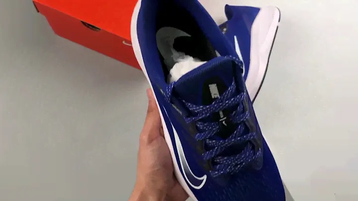 Nike Zoom Winflo 7 Royal Blue