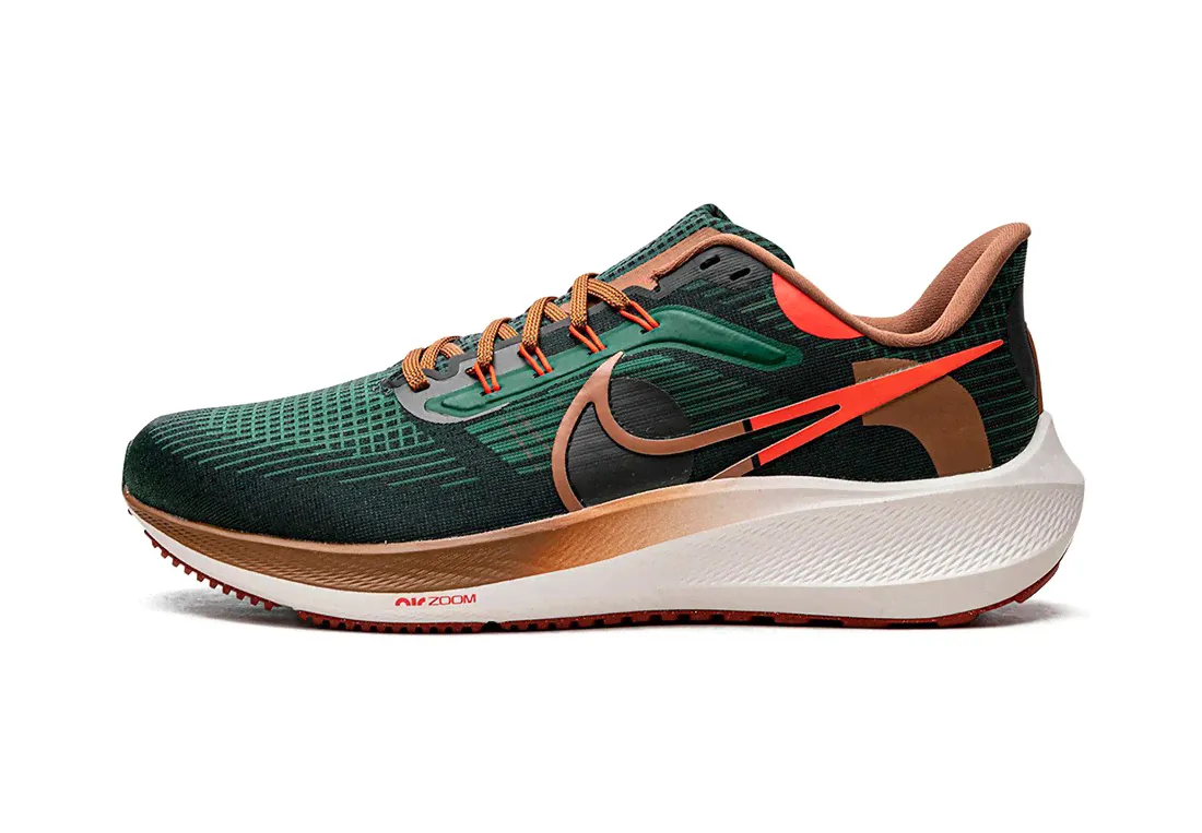 Nike Air Zoom Pegasus 39 "A.I.R. Hola Lou"