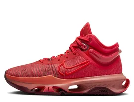 Баскетбольные кроссовки Nike Air Zoom G.T. Jump 2 "Light Fusion Red"